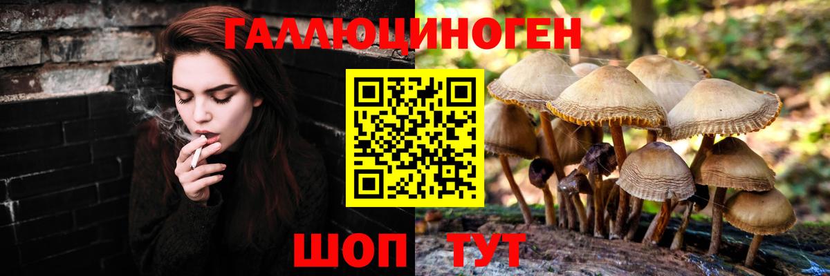 Псилоцибиновые грибы прущие грибы Ликино-Дулёво